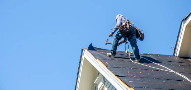 Best Roof Gutter Cleaning  in Yellville, AR